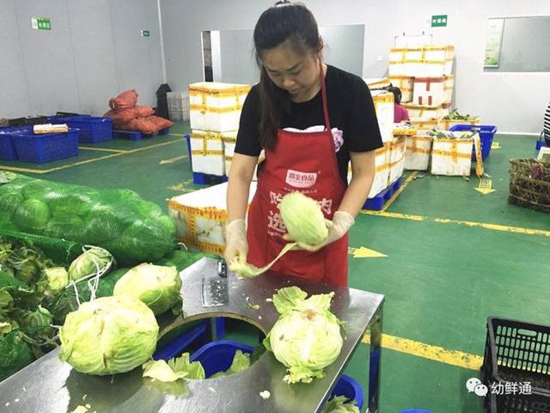 为什么选择本地种植的水果？——深入探讨水果供应链的优势与挑战